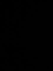 Brittany Ciaramitaro