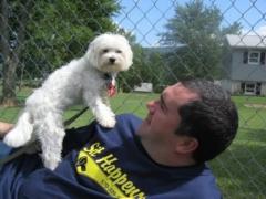 Henry Topdog Training