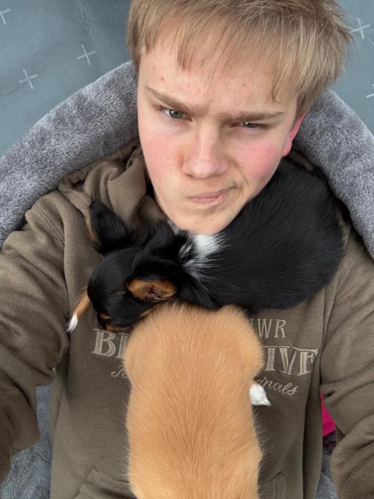 Nico Alexander Zweers