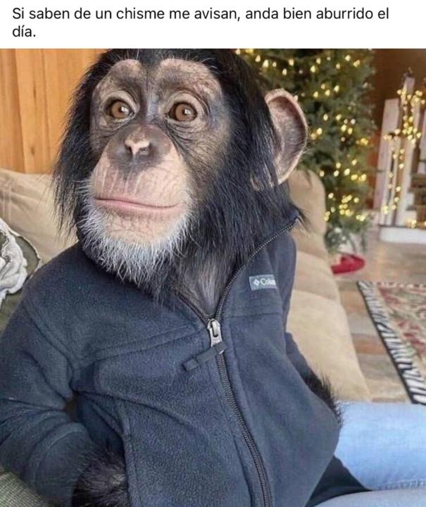 Alejandro Tirano bernate