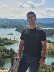 Diego Martin Franco Galindo
