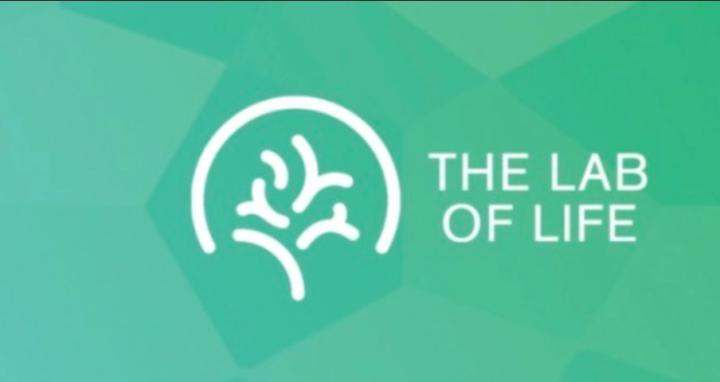 The Lab of Life