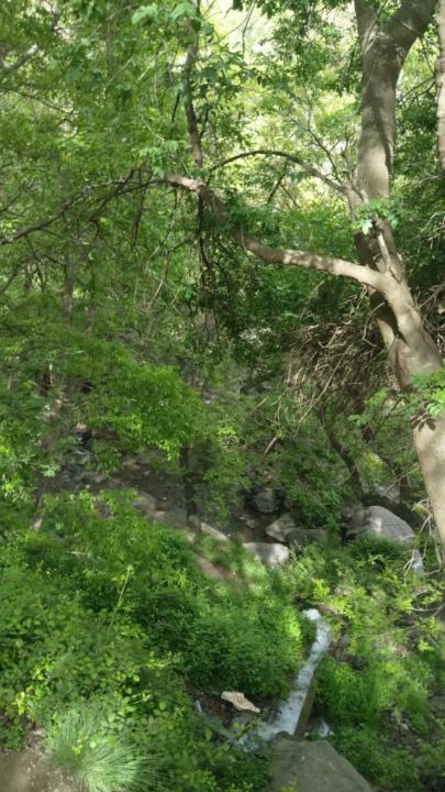 El houssaine El mansour