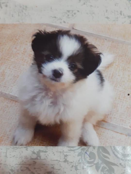 Josefa Martínez Alarcón