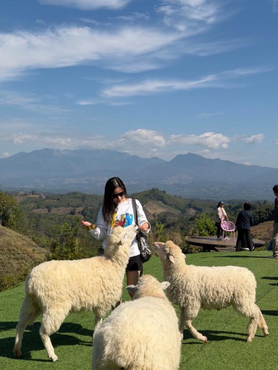 Warintorn Veerakornsinanont