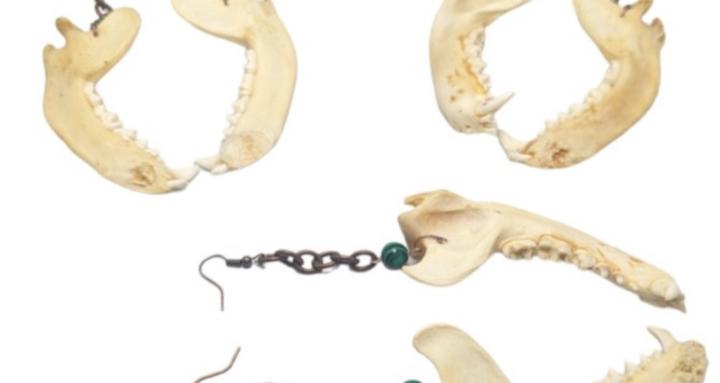 Caliphia's Bone Lovers