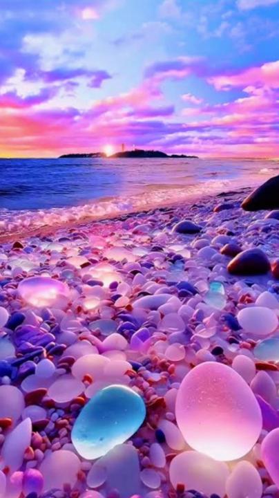 Sarell Andzi-Quainoo