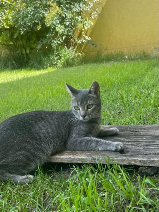 Lorena alonso Alonso