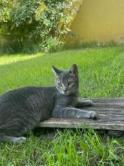 Lorena alonso Alonso