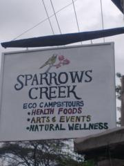 Sparrows Creek