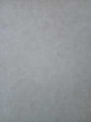 Laurent Beige