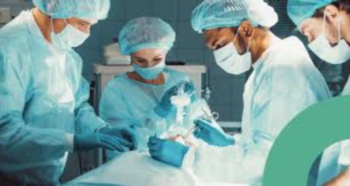 MORFOFISIOLOGIA