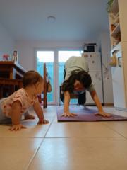 Yermén Acebal Ghiorzi