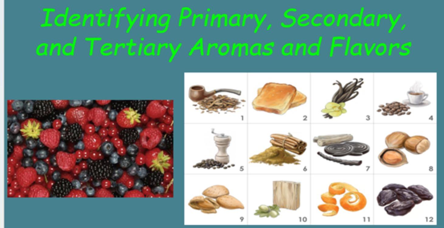 Identifying Primary, Secondary, and Tertiary