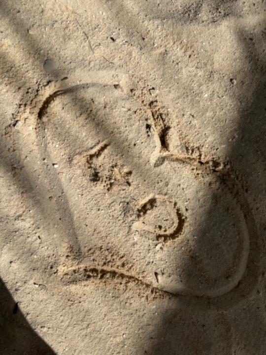 Denyse van den Heuvel