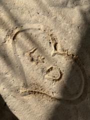 Denyse van den Heuvel