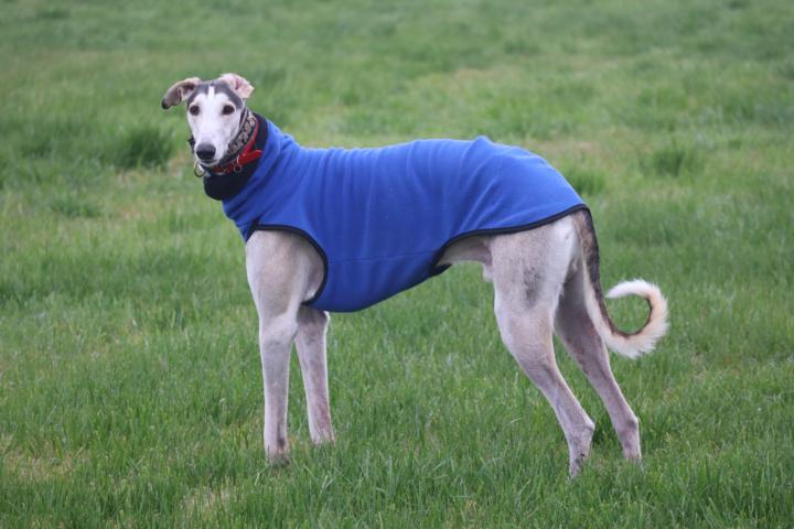 Share Noodle’s latest photo and brighten our week!