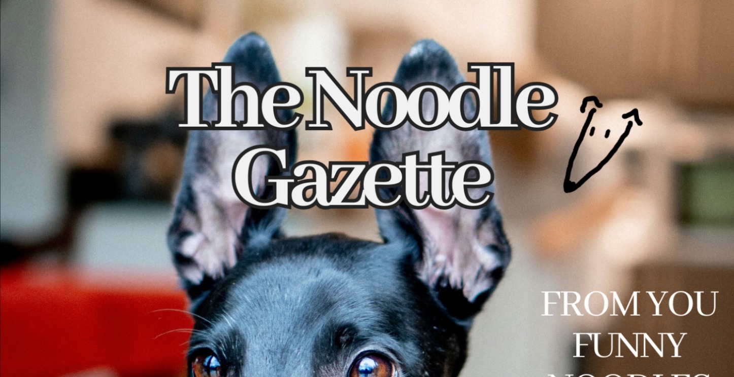 The Noodle Gazette Issue 1