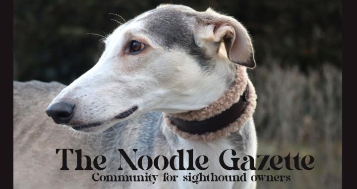 The Noodle Gazette