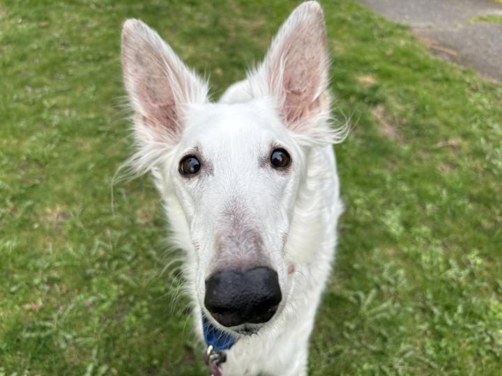 Have a perfect holiday!