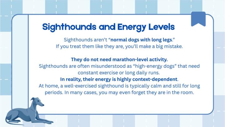 Sighthounds and Energy Levels