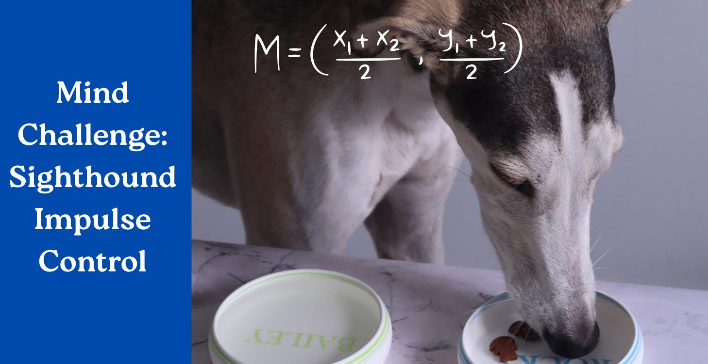 Simple Mind Challenge for Impulse Control