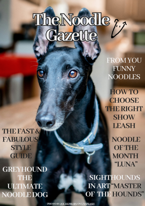 The very first issue of Noodle Gazette is on its way