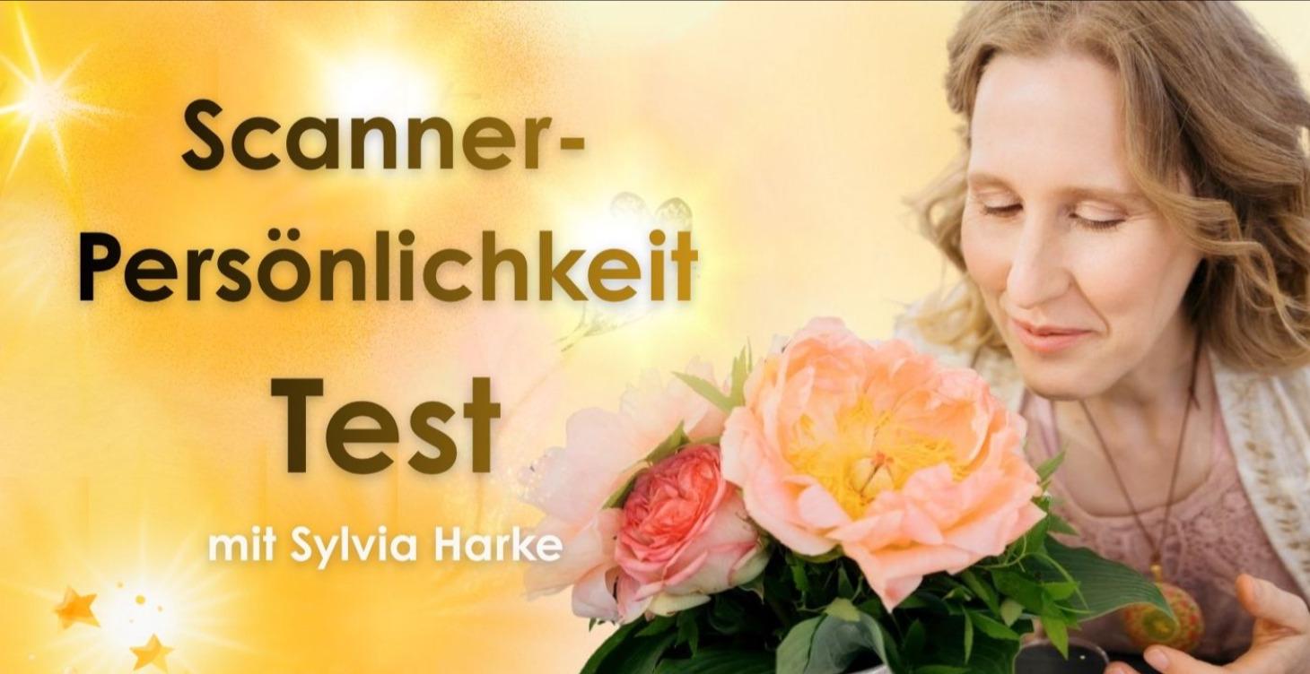 Scannerpersönlichkeit Test