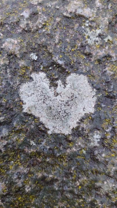 Malin Alsing Johansson