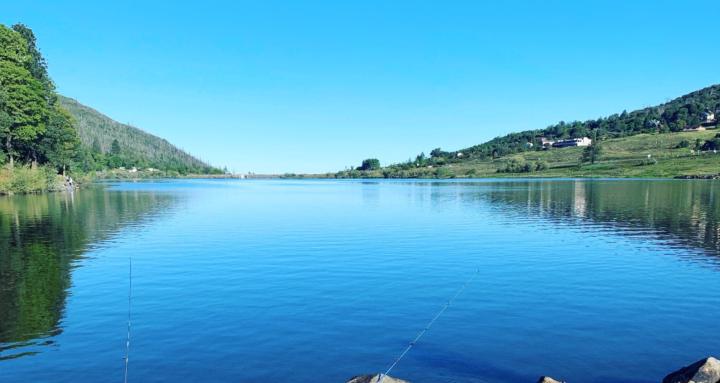 Fishing Tips and Tricks 🎣