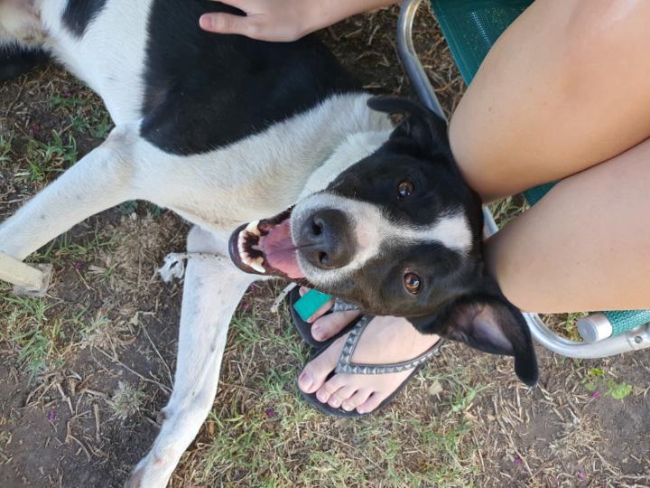 Federico Gabriel Alva