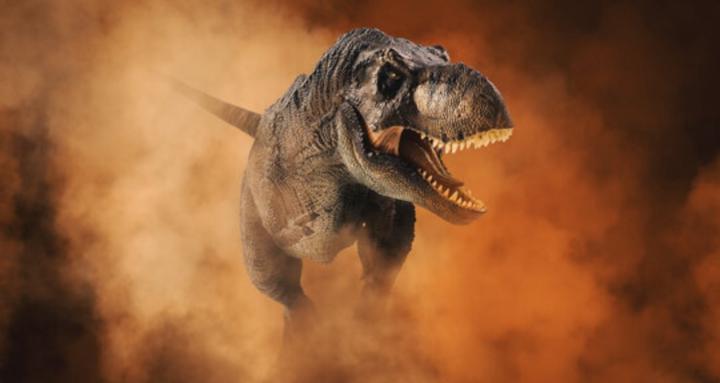 The Dino Chasers