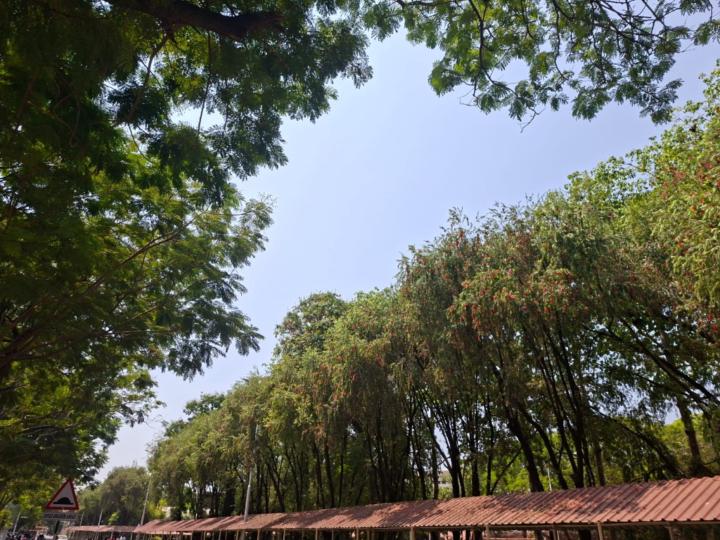 Kushagra Bansal