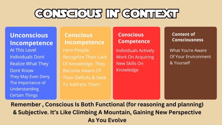 Conscious In Context