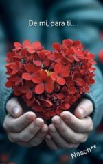 Yolanda Rodríguez Montserrat