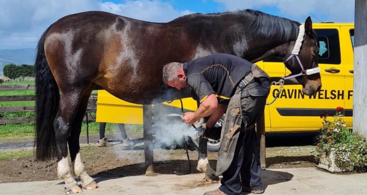 The Hoof Care Consultancy 