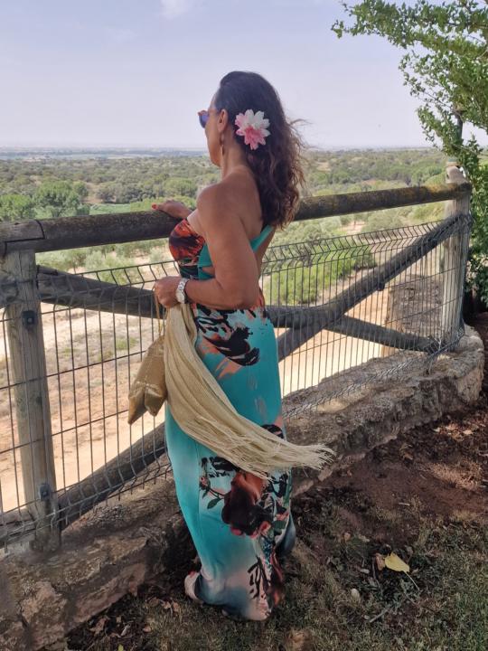 Bodas