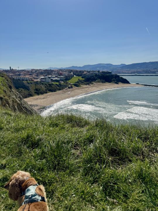 Días soleados que nos regala el norte 🩵