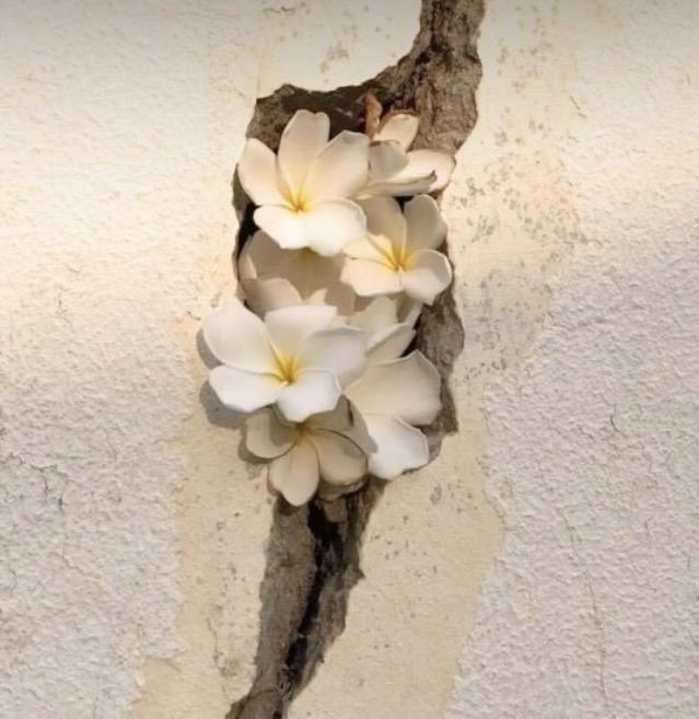 NO TODO EL MUNDO MERECE TU ENERGÍA