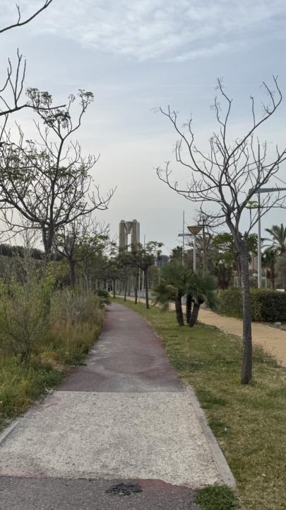 Jueves de CAMINAR