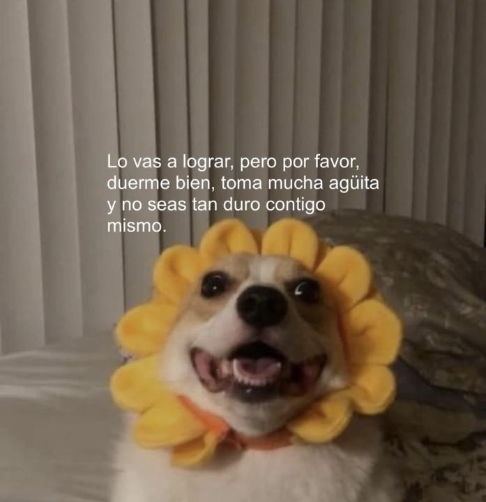 Miércoles MARAVILLOSO 🌻