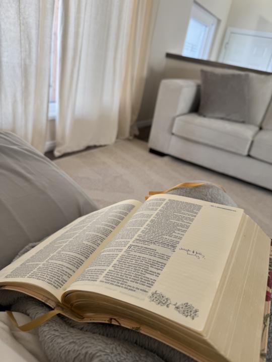 Bible in a year! 