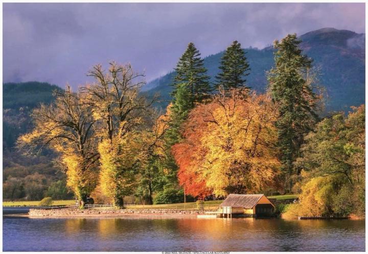 Marie-pascale Fouqueray