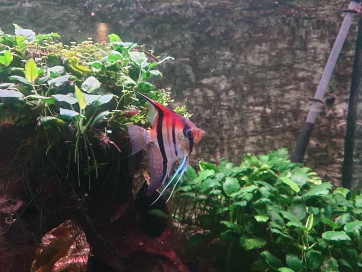 Konstanze Vierheilig