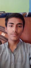 Sajan Bug