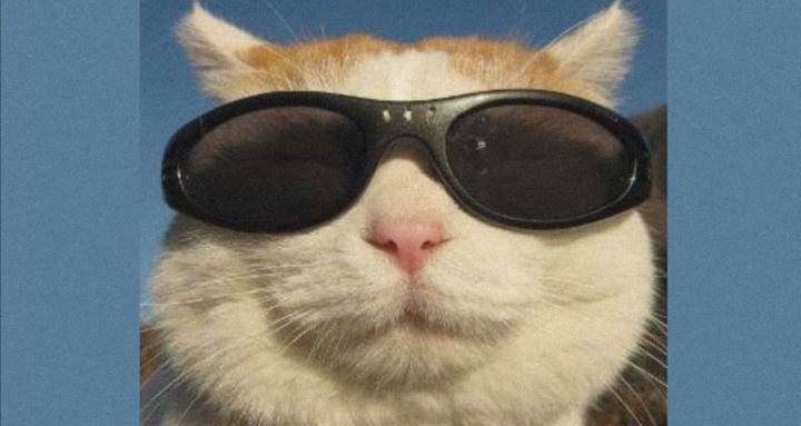 Interesting People Only ;)