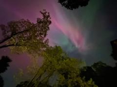 Fidelia Amamoo-Ocansey