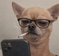 Damian Stone