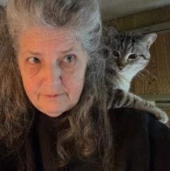 Amy Tompkins