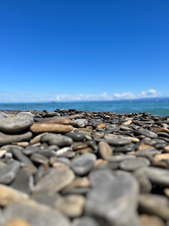 Miklósné Greman Katalin